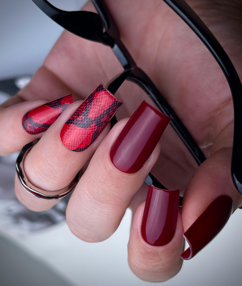 IMG_6655